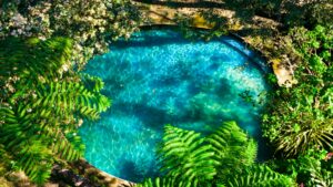 piscine naturelle